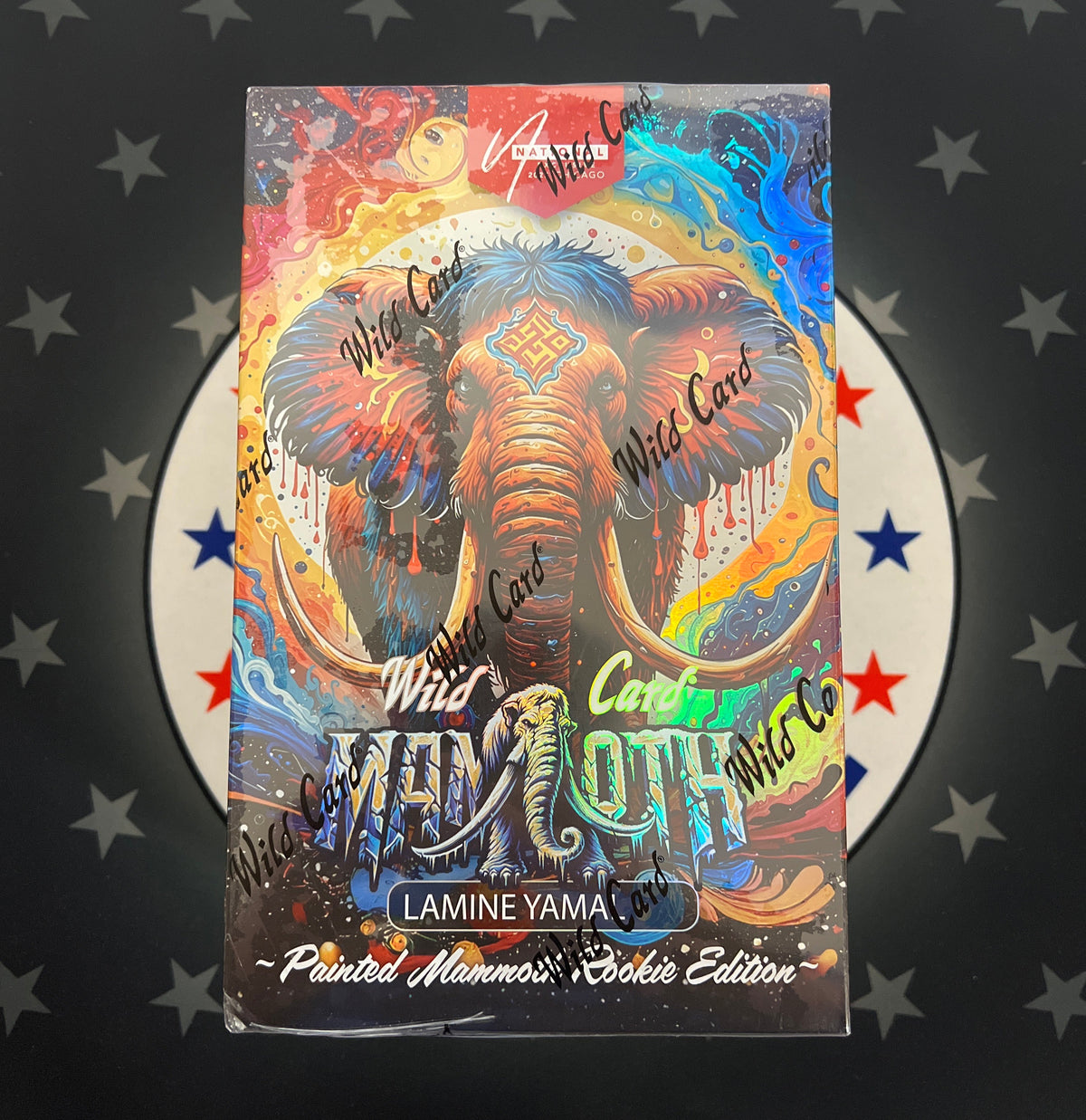 2024 Wild Card Lamine Yamal Painted Mammoth Box - NSCC Exclusive