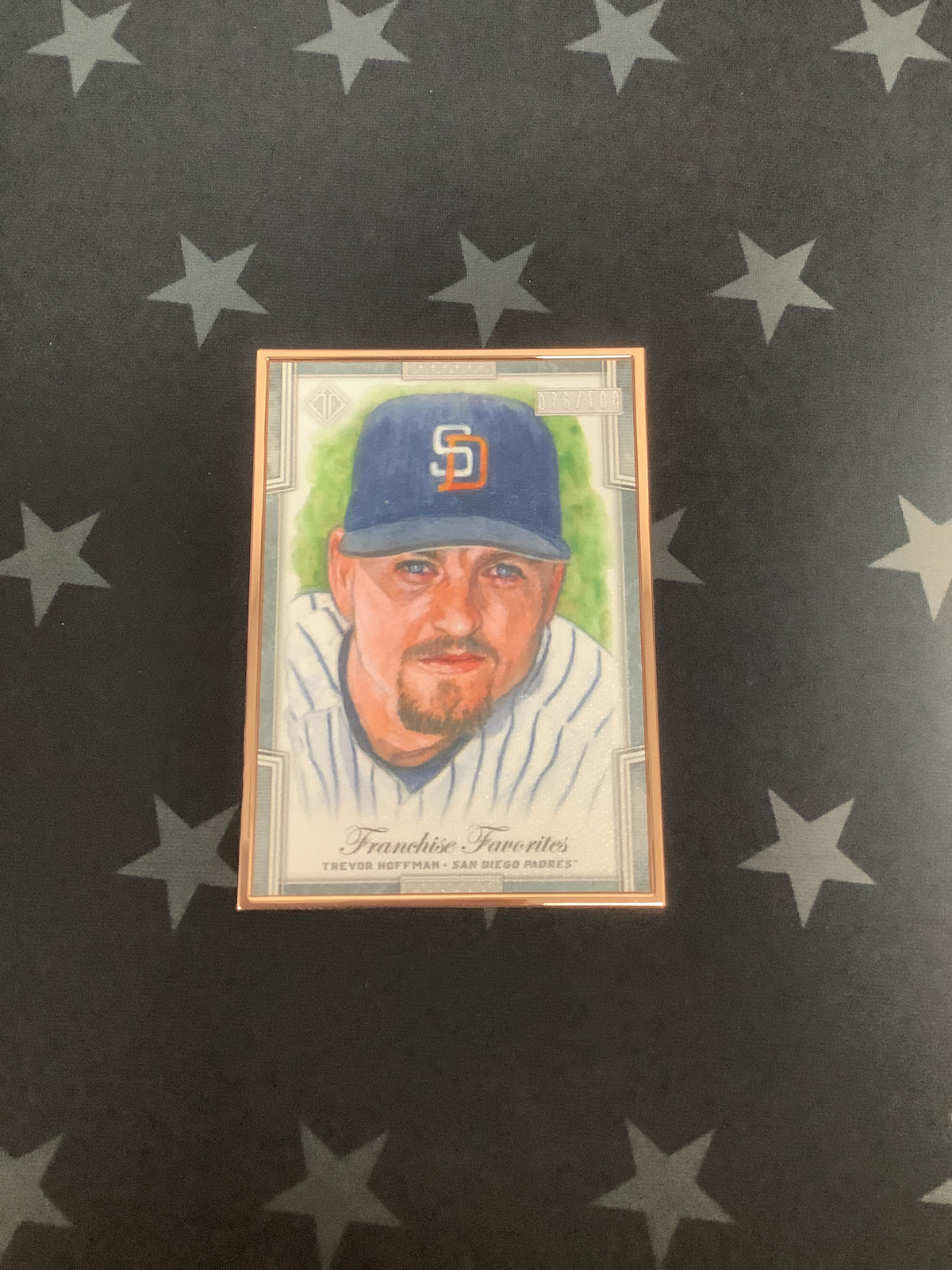 2019 Topps Transcendent Trevor Hoffman #FFR-THO Franchise Favorites 76/100