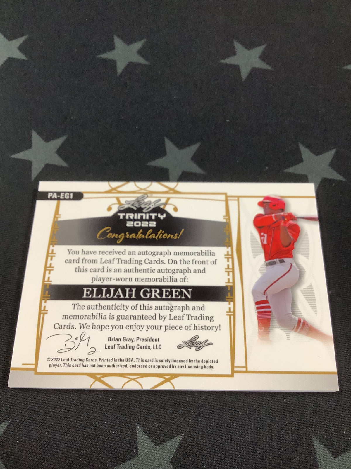 2022 Leaf Trinity Baseball Elijah Green RPA /99