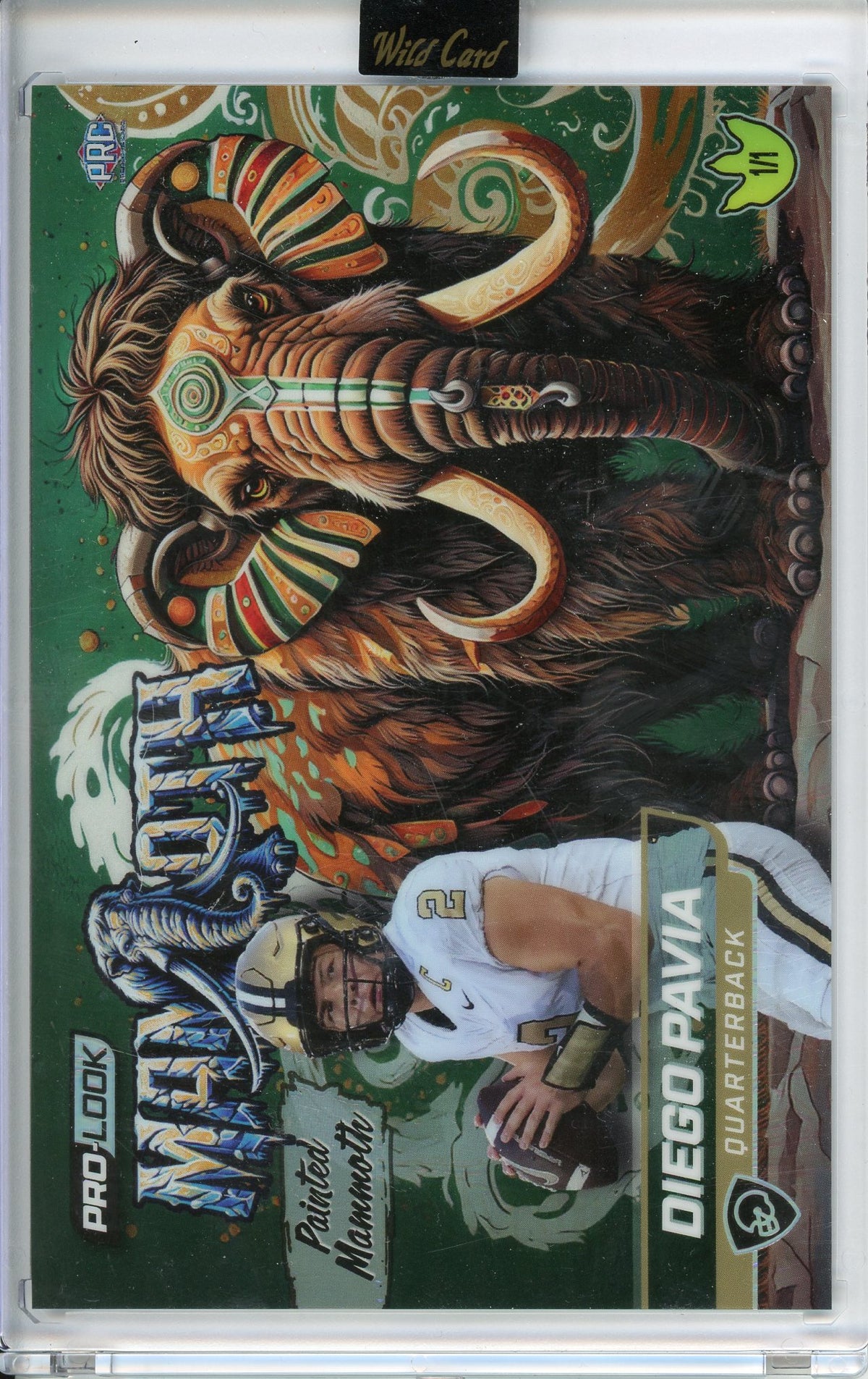 2025 Wild Card Pro-Look Mammoth Painted Diego Pavia 1/1 PRC